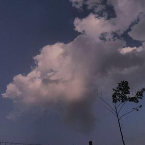 男人把手桶进美女尿囗还吻了
